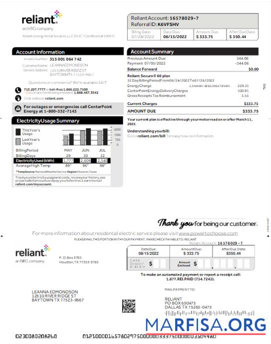 Printable USA RELIANT utility bill Word and PDF template